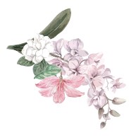 Hang Po Transportation